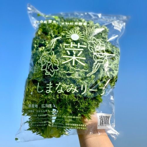 広島産　世界でココだけ！？因島でしか生産されていない野菜「しまなみリーフ」1kg　10月～3月の販売【たからじまファーム】