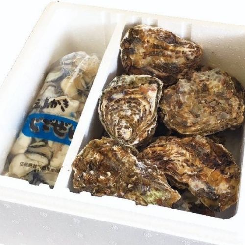 広島産　艶が違う！殻付き生牡蠣12個と剥き身500gセット（加熱用）【世良水産】