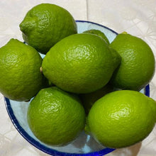 画像をギャラリービューアに読み込む, 広島産　尾道の青レモン　1kgあたり5～6個【西屋農園】
