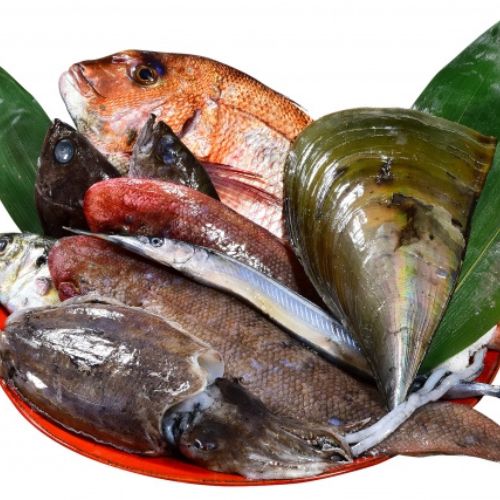広島産　定置網で獲った天然魚の鮮魚BOX　4～5匹or5～6匹【カネカ水産】5月末まで