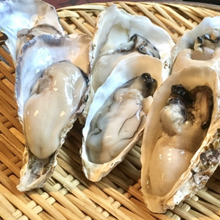 画像をギャラリービューアに読み込む, 広島産　レンジで簡単蒸し牡蠣　殻付き5個入り　（3パックor5パック）【三浦海産】
