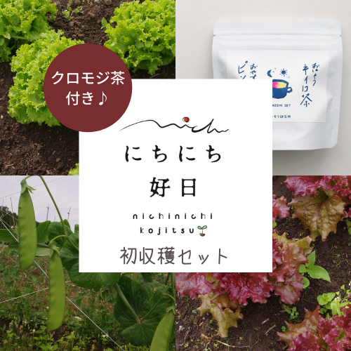 ◆限定商品◆　石川産　加賀自然野菜　初収穫記念セット　手づくりクロモジ茶付き - エドノイチ